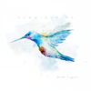 Hummingbird - Kendra Logozar