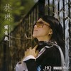 都市夜归人 - 林琳