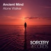 Years Of Hardship (Original Mix) - Ancient Mind