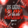 LAS GATAS BAILANDO RKT - BALDO DJ&Agus Dj