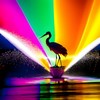 The Crane Flies - The Crane