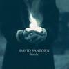 Cane - David Sanborn