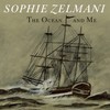 Spring Love (Album Version) - Sophie Zelmani