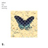 Searching - Adion