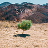 Wildfire (Alternate Version) - SYML