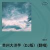 贵州大洋芋（DJ版） (cover: 罗子坤|猴子) - 张文杰