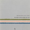 La canzone di aengus, il vagabondo - Angelo Branduardi