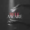 SELF AWARE - DaVinci