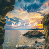 Brisk (Brisk) - Lidged