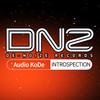 Introspection - AuDio KoDe