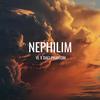 NEPHILIM (feat. Daej Phantom) (Explicit) - VL&Daej Phantom