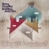 Why Are You Leaving? - Aracy Carvalho&Brazilian Jazz Cuts