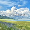 人生没有标准答案 - 孟鹏