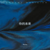 你的未来 - Skyline