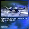 Pump It Up (Tigerlily, Rudeejay, Da Brozz Remix) - Danko&Tigerlily&Rudeejay&Da Brozz