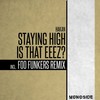 Staying High (Foo Funkers 'Strong Disco' Mix) - Hakan&Foo Funkers