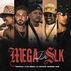 Mega do SLK 2025 (Explicit) - RAPPER SLK&Brun4o&Mc Pai&Celin&AnjoDoisd&Gustin mc