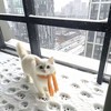 以爱之名你还愿意吗 (DJMOUN版) - DJMOUN