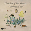 No. 9, L'abeille - Renaud Capuçon&Jerome Ducros