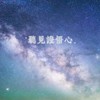 圣八吉祥文 - 程诗迦