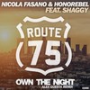 Own The Night (Alex Guesta Tribal Mix) - Nicola Fasano&Honorebel&Shaggy