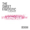 Hypnotisin' (Get Down) (North Street West Instrumental) - The Sweet Fantastic&Andrew Sant&Lesley Williams&Ashley Beedle&Darren Morris&Jo Wallace