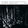 Schubert: Fantasia In C, For Violin And Piano, D.934 - Allegro vivace - Allegretto - Presto - Carolin Widmann&Alexander Lonquich