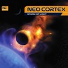 Storm Of Light (Radio Mix) - Neo Cortex
