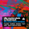 All You Ever Want (Crazibiza Vocal Remix) - Billy Newton-Davis&Deadmau5