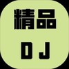 追梦人 (DJ杜心军|DJ舞曲 remix) (Remix) - DJ杜心军&DJ舞曲