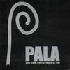 I Think I'm the Man - Pala