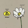 Be Kind (Stripped) - Marshmello&Halsey