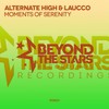 Moments of Serenity (Original Mix) - Alternate High&Laucco