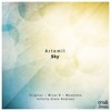 Sky (Mizar B Remix) - Artemil