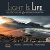 Light Is Life (Radio Mix) - Melodic Culture&Magdalen Silvestra