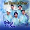 En Que Falle - Los Tigres Del Norte