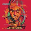 Bayethe - DJ Shimza