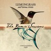 Lost The Eden (Lemongrass Epice Remix) - Nana Wang