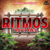 La Chiica De La Boutik - Ritmos Tropicales