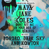 Something In The Air (Bonobo Remix) - Maya Jane Coles