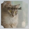 Rain Cat - Abertico Project [Enea Dj ReMix]