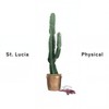 Physical - St. Lucia
