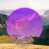Flower In The Flame (Illumia Remix) - Jope&LEO ISLO&Illumia