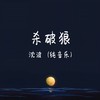 杀破狼 (琵琶版) - 沈波