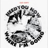 Where I'm Going (Lotus Plaza Version) - Cut Copy