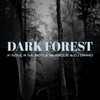 Dark Forest - X-Soul RSA&Botle MusiiQue&Dj DIHNO