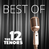 Don't Cry for Me Argentina - The 12 Tenors