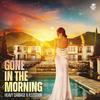 Gone In The Morning - Heavy Damage&illuszion