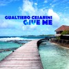 Voli - Gualtiero Cesarini