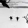 七月七日晴 (说唱版) - 克里&南乔